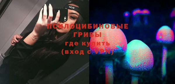 соль ск Белокуриха