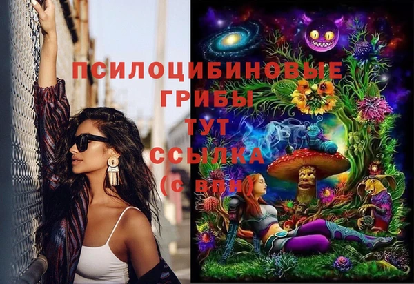 соль ск Белокуриха