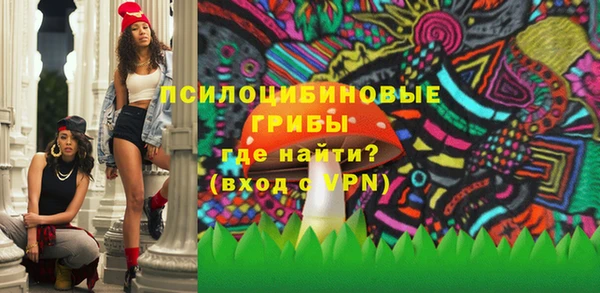стаф Беломорск