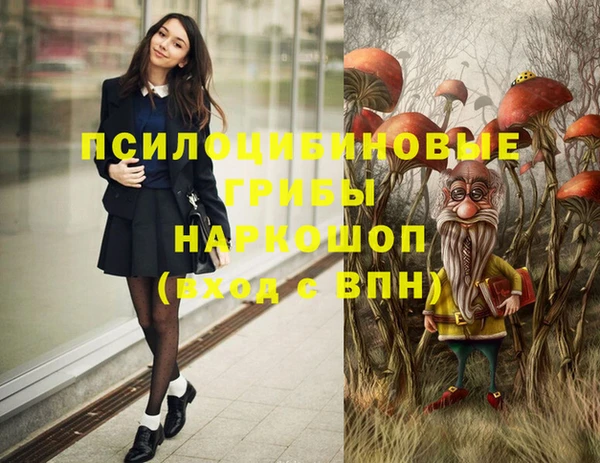 соль ск Белокуриха