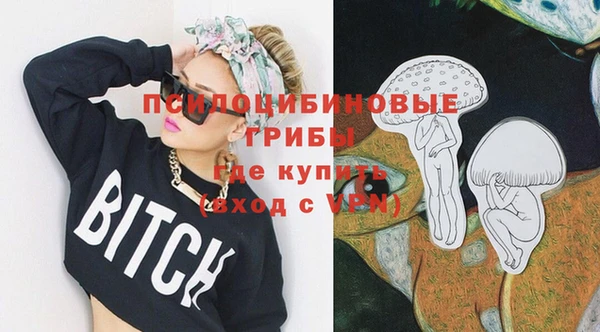 соль ск Белокуриха