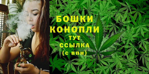 соль ск Белокуриха
