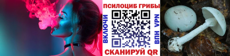 Галлюциногенные грибы прущие грибы Малоярославец
